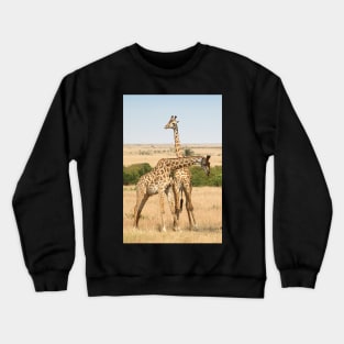 Maasai Giraffes. Males Necking. #3. Maasai Mara, Kenya Crewneck Sweatshirt